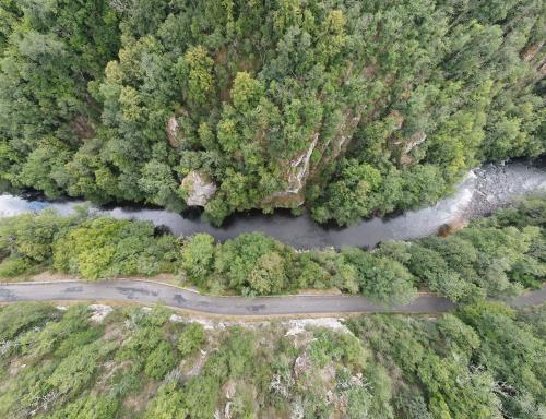 Les gardiens des gorges de la Sioule [30-07-2022](1120).jpg
